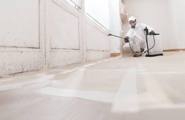 24/7 Emergency Commercial Mold Remediation experts in Reva, VA